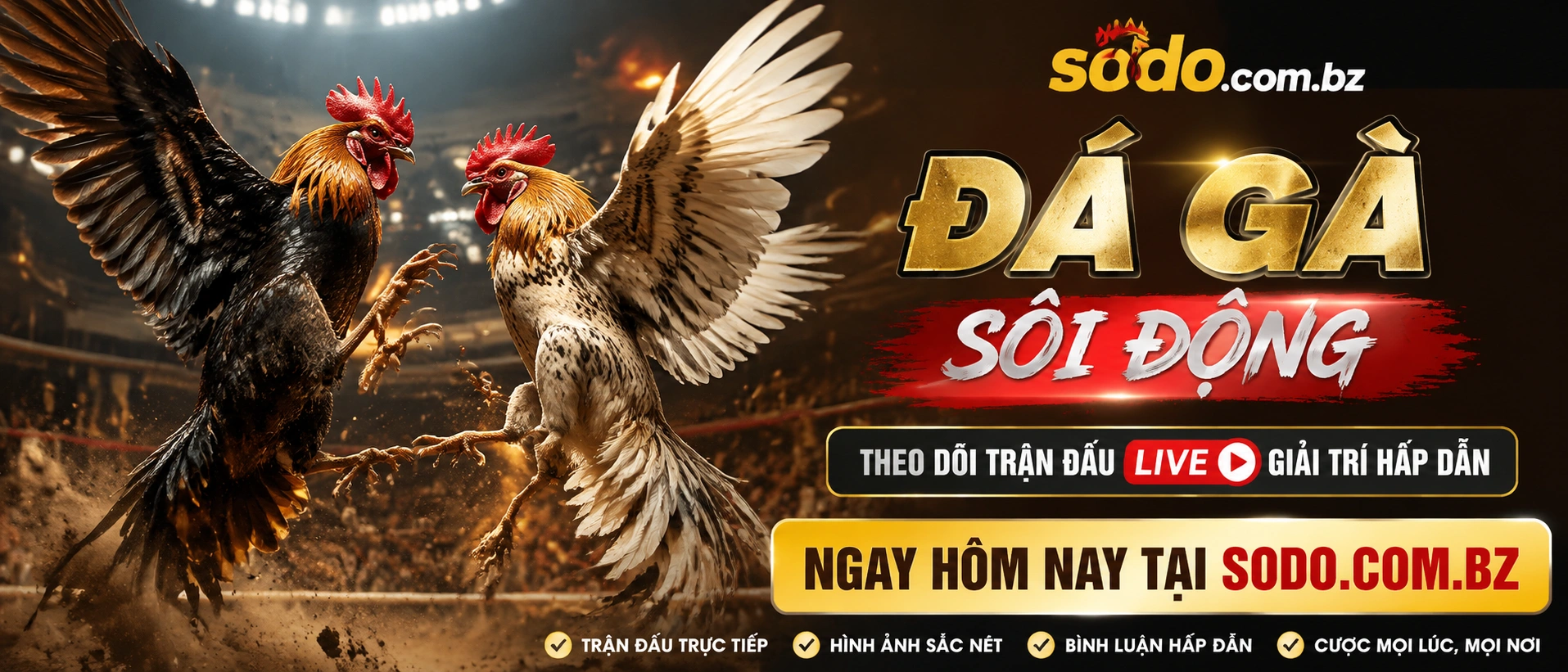 Live đá gà trên điện thoại